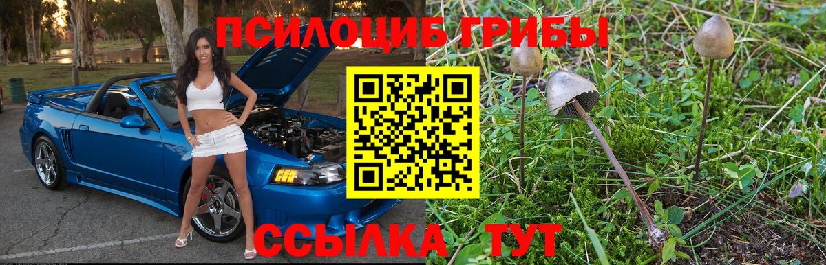 Крымск  Псилоцибиновые грибы Psilocybe  Вход с VPN 